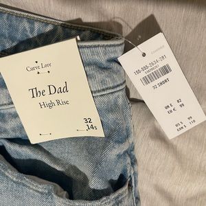 Abercrombie & Fitch Curve Love High Rise Dad Jean